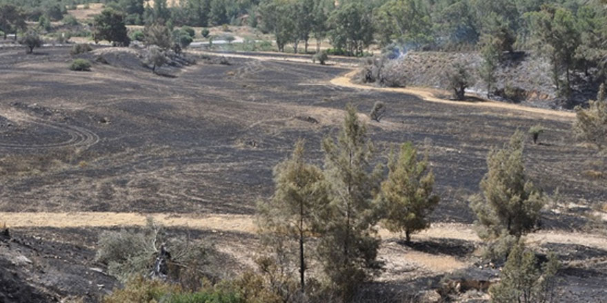 Oğuz :“Dünkü yangın 1995 sonrası en büyük yangın”