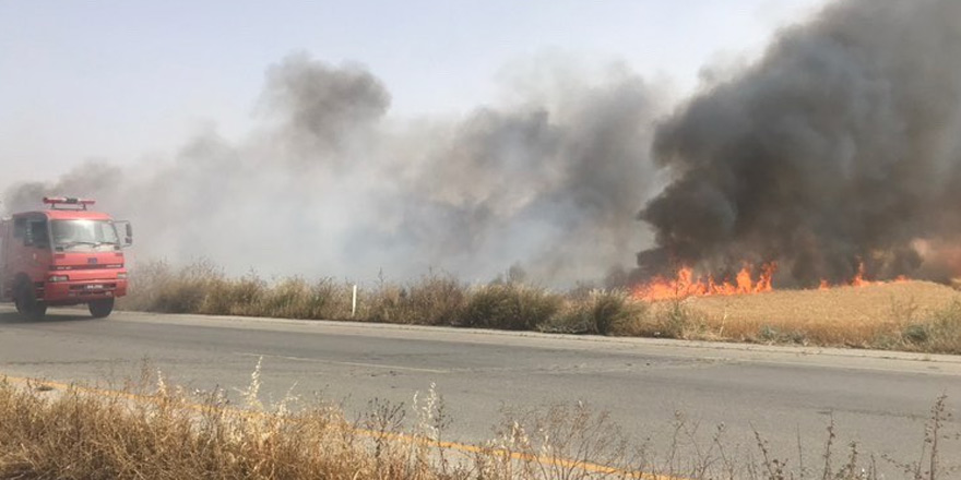 Ulukışla ovasında yangın