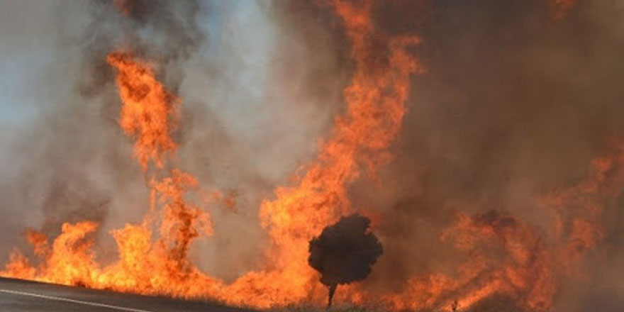 Altınova köyü’nde yangın çıktı…