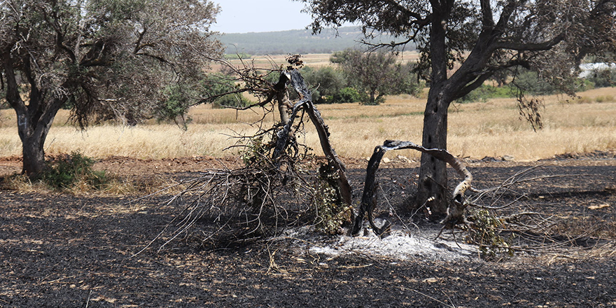 Yangınların önü kesilemiyor