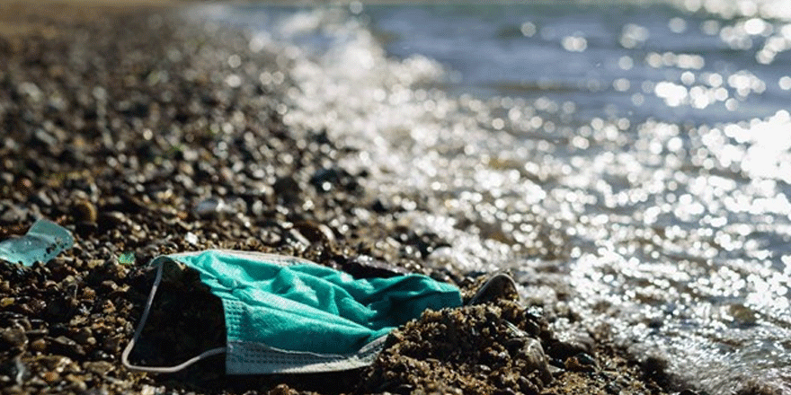 Maske uyarısı: Akdeniz'deki denizanası sayısını geçebilir