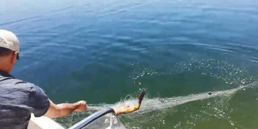 Kaçak balık avlayan 63 kişiye, 73 bin lira ceza