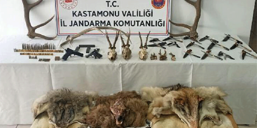 Kaçak avcılığa 78 bin 238 lira ceza