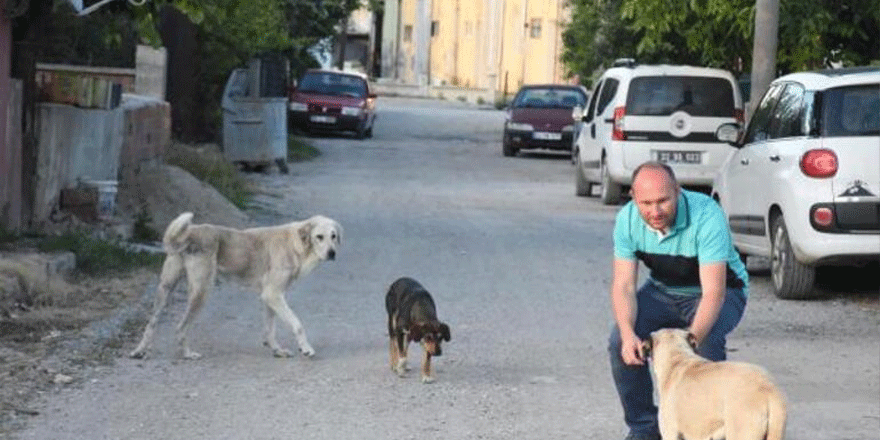 Esrarengiz olay bir haftadır sürüyor, İpsala ayağa kalktı!