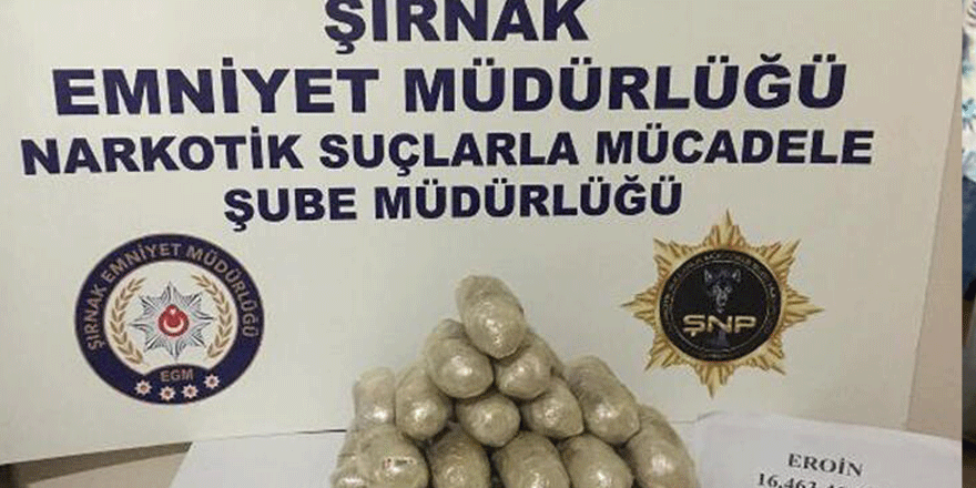 Şırnak'ta kaçakçılık operasyonu: 13 gözaltı