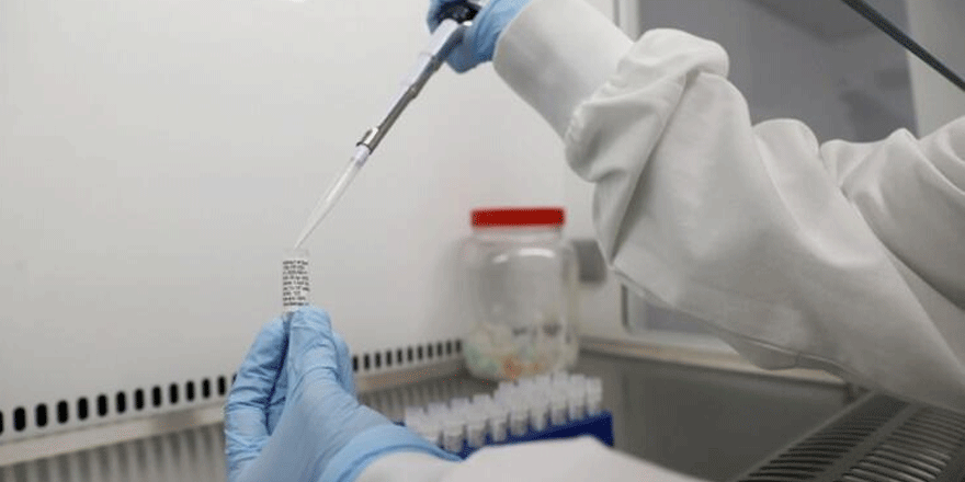 Pazarcılara koronavirüs testi