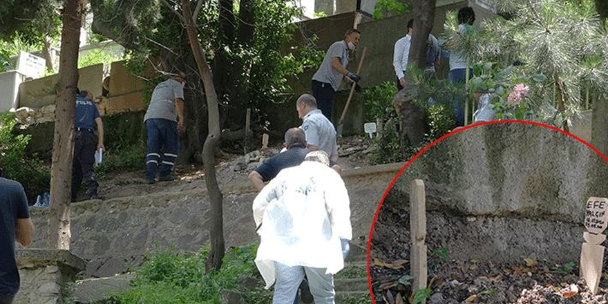 Bursa'da mezarlıkta ilginç olay! Görevliler fark etti, harekete geçildi