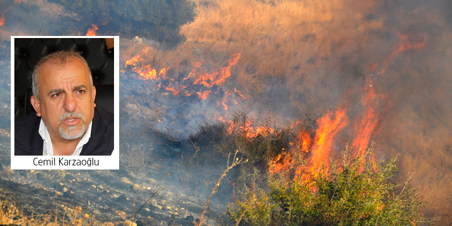 “Orman Dairesi’nde iş aracı kullanabilen sadece 3-4 eleman bulunuyor”