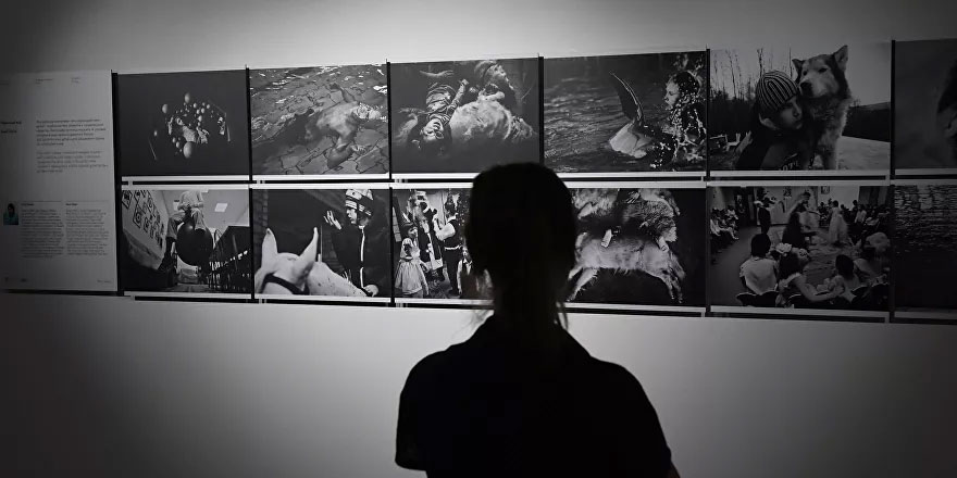 2020 Andrey Stenin Fotoğraf Yarışması ödülleri sahiplerini buldu