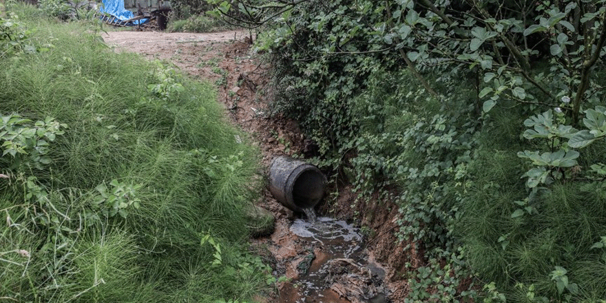 Atık sular Aydos Gölü'nü tehdit ediyor