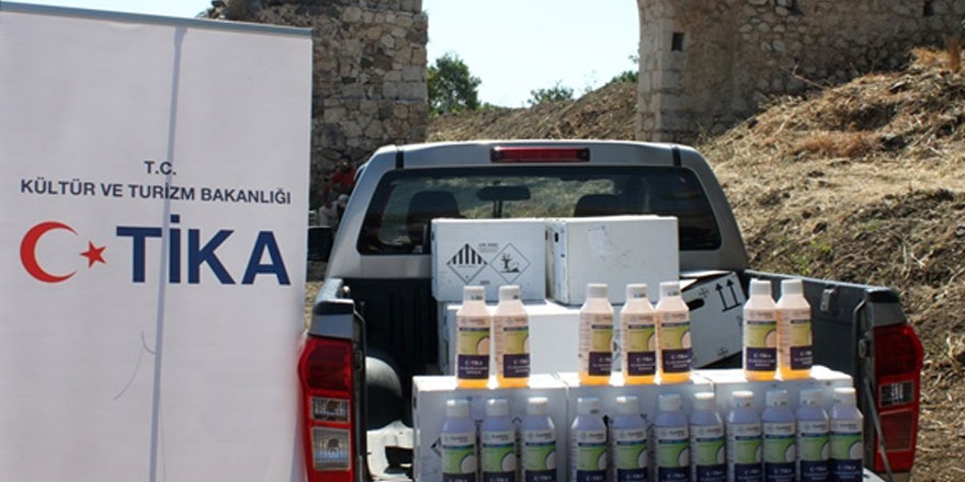 TİKA’dan kırmızı palmiye böceğiyle mücadele projesi’ne destek