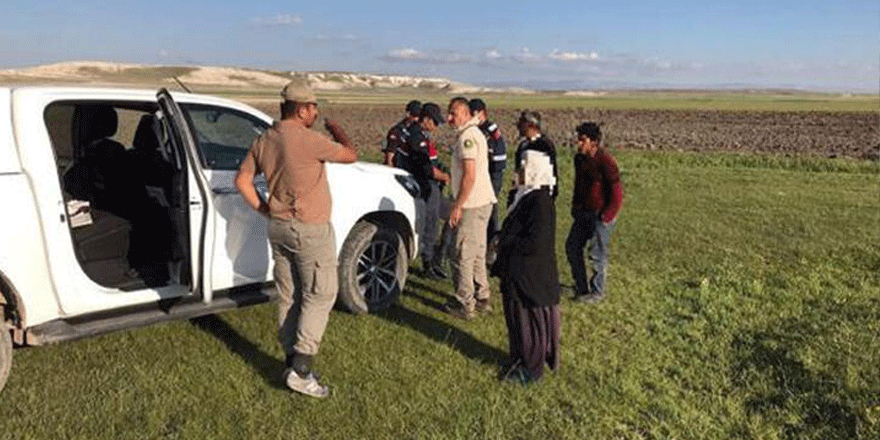 Kaçak salep soğanı toplayan 5 kişiye 365 bin lira ceza