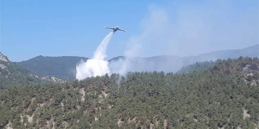 Sinop’taki orman yangını ‘ateş kuşu’nun desteğiyle kontrol altında