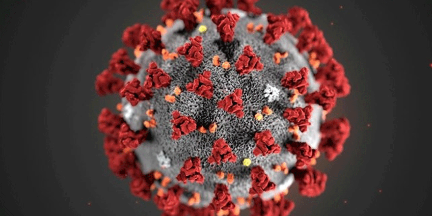 Corona virüsün mutasyonu iyi bir şey olabilir