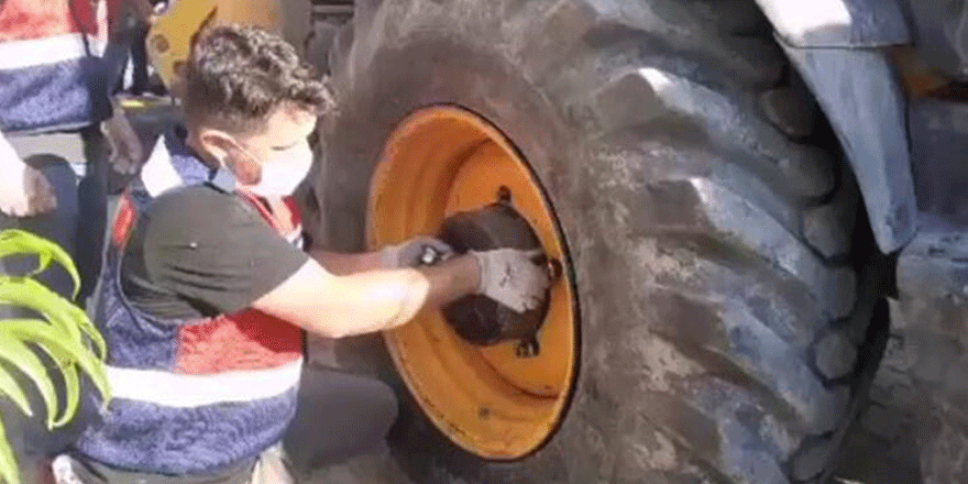 İş makinesinin lastiğinden 11 bin 800 paket kaçak sigara çıktı