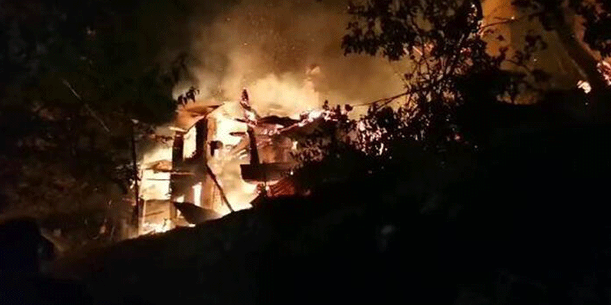 Artvin'de 4 ev yandı