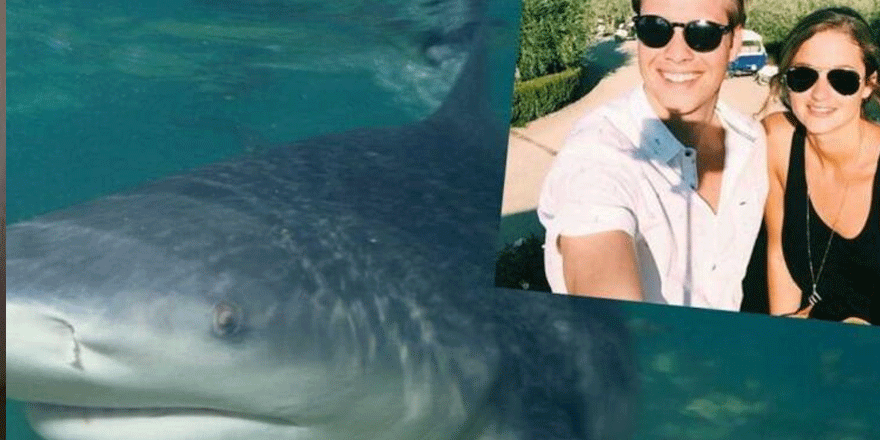 ABD'de hamile kadın eşini köpekbalığı saldırısından kurtardı