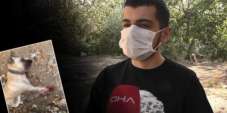 Tüyler ürperten olay: Gözümün önünde kesti