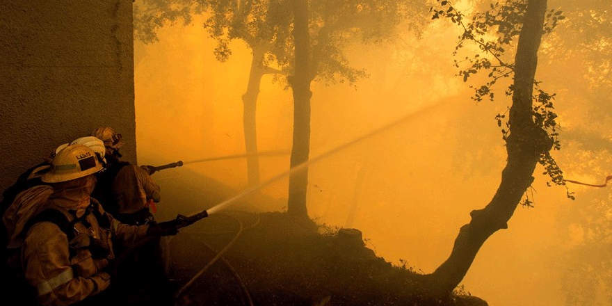 California'daki yangınlarda rekor