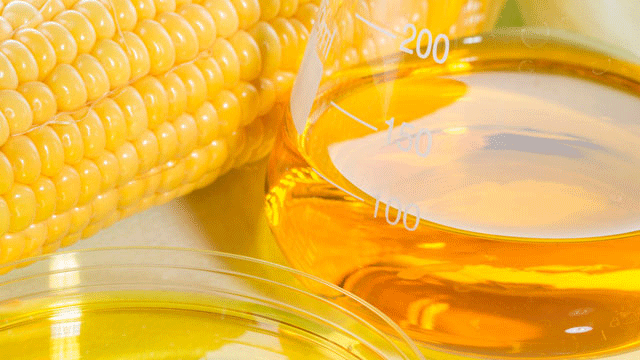 Mısır şurubunun obeziteyi tetiklemidiği sonucuna varıldı