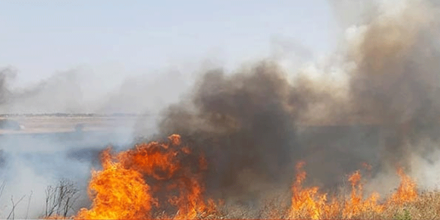 Serdarlı'da yangın