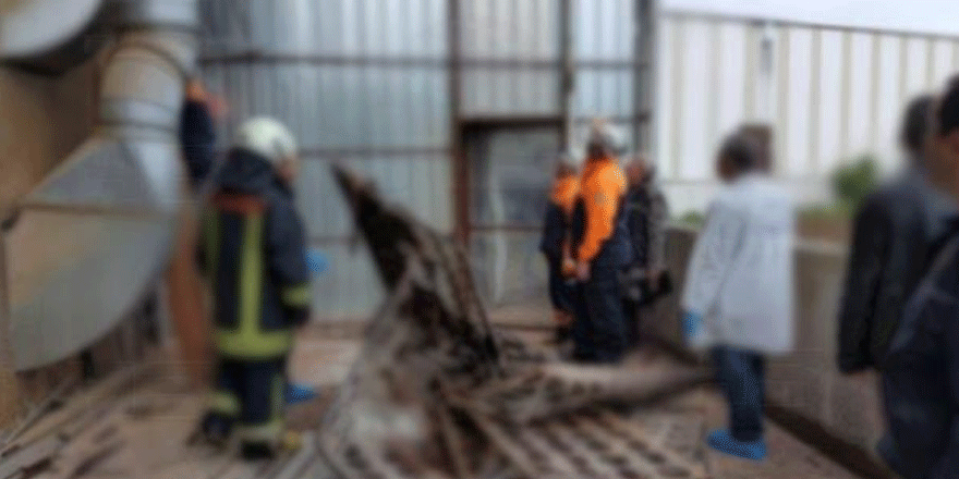 Çatalköy’de iş kazası..