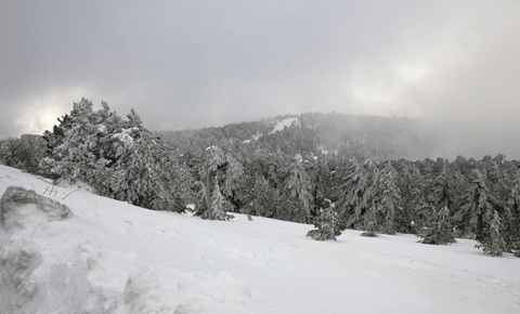 Trodos’a kar yağdı