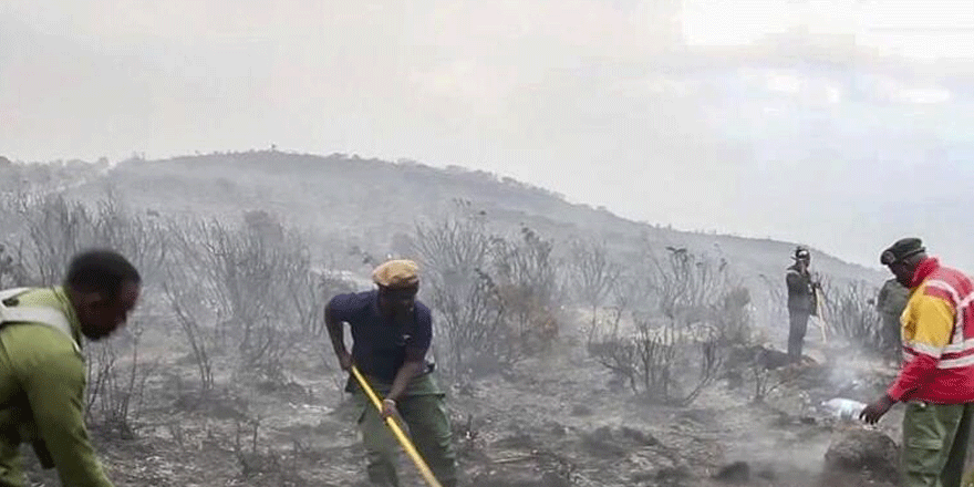 Afrika'nın en yüksek dağındaki yangında 500 gönüllü görev yapıyor