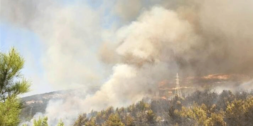 Hatay'da bir yangın daha!