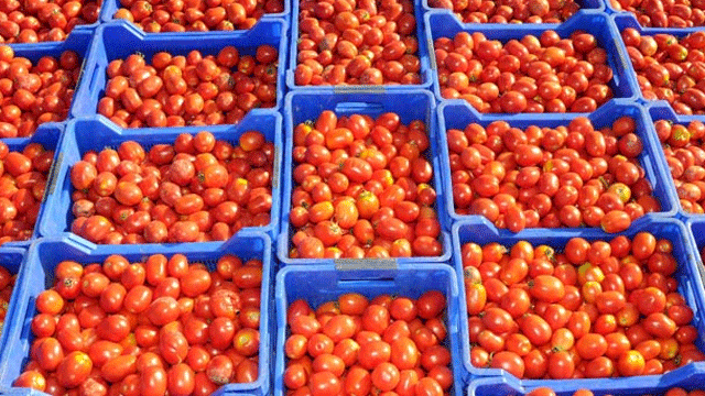 Zor günler kapıda!