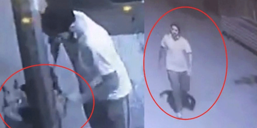 Hırsızlara karşı iş yerinin önüne bağladığı köpeği çalındı