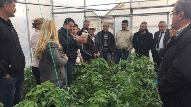 Tarım Dairesi uygulamalı eğitim verdi