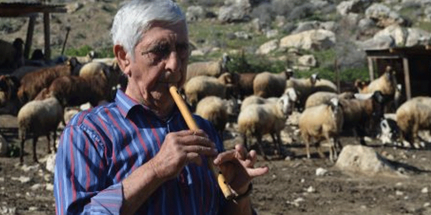 Bir çınar daha göçtü