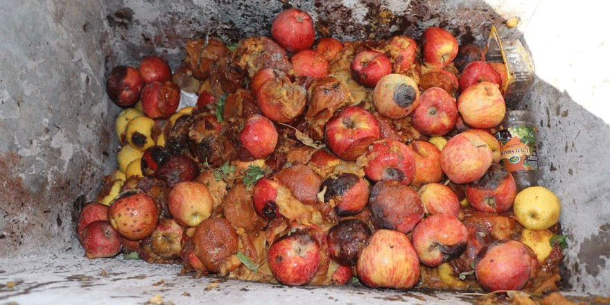Çürük elmadan meyve suyu iddiası gerçek çıkmadı