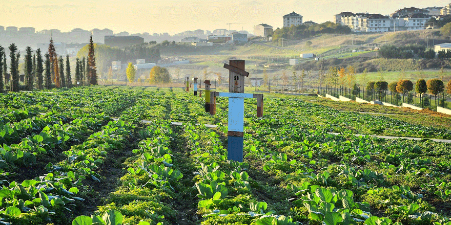 Yaşam Bahçesi’nde ilk kış hasadı yapıldı