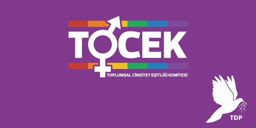 “Ev içi şiddet yasası biran önce yaşam bulmalı”