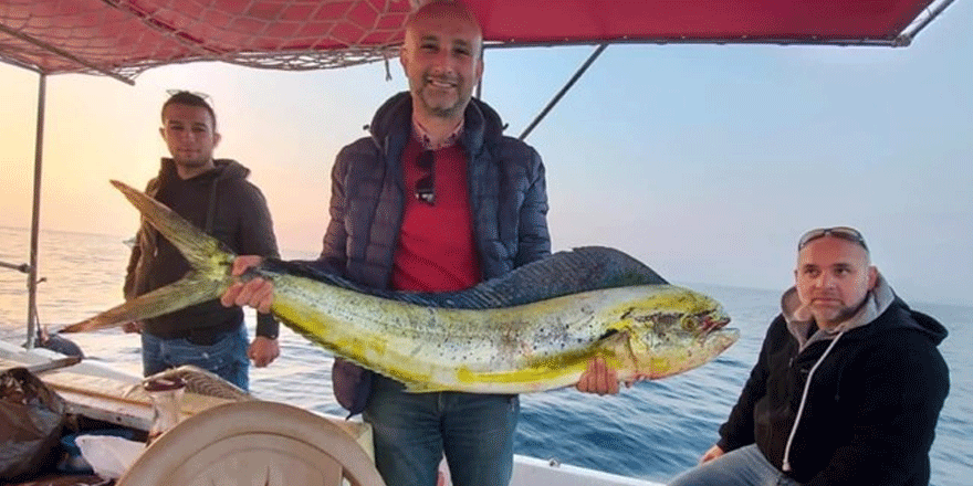 Kuşadası Körfezi'nde 15 kiloluk lambuka balığı yakalandı