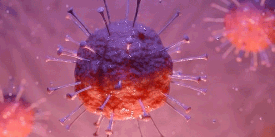 LED ışıkları corona virüsü öldürüyor