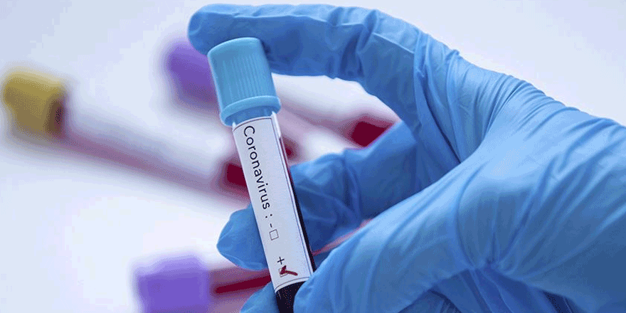 Vakaların Bölgelere Göre Dağılımı