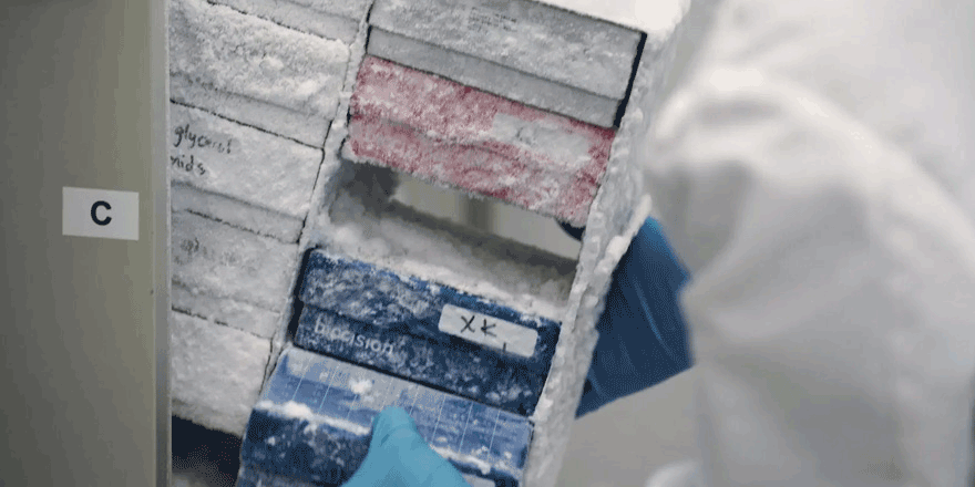 Aşılar için derin dondurucu alınacak