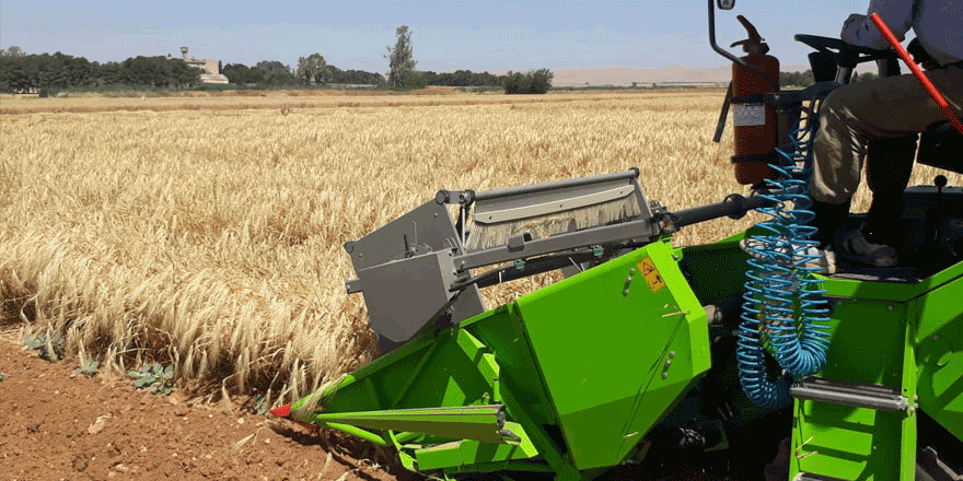 Arpanın fiyatı düştü