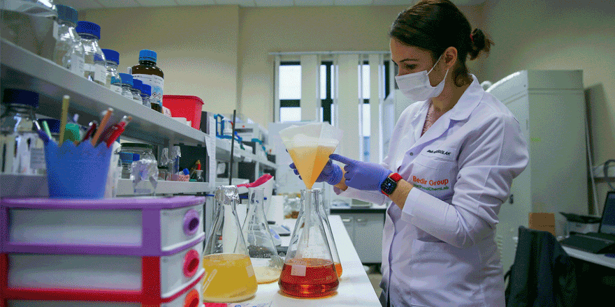 Geven otundan elde edilen molekül kanserle savaşacak