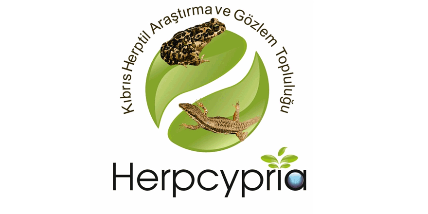 Kıbrıs Herptil araştırma ve gözlem topluluğu kuruldu