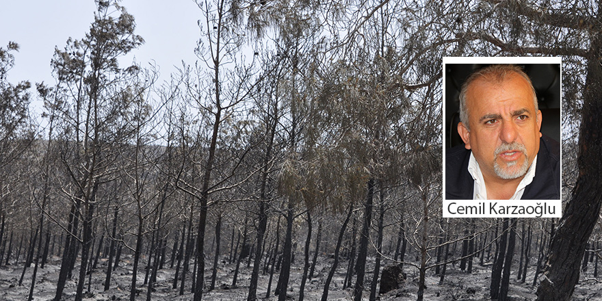 3 büyük yangında 13 bin 653 hektar orman kaybedildi