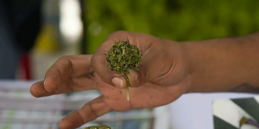 İstanbul, esrar kullanımında Barselona’dan, eroin kullanımda ise New York’tan sonra ikinci sırada yer aldı