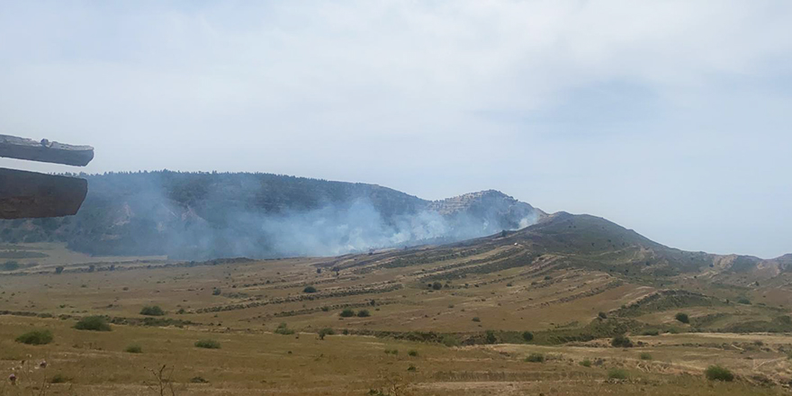 Gürpınar köyünde yangın!