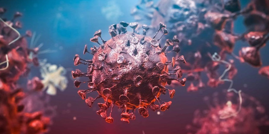 Bilim insanları Covid-19'u tuzağa düşürmek istiyor