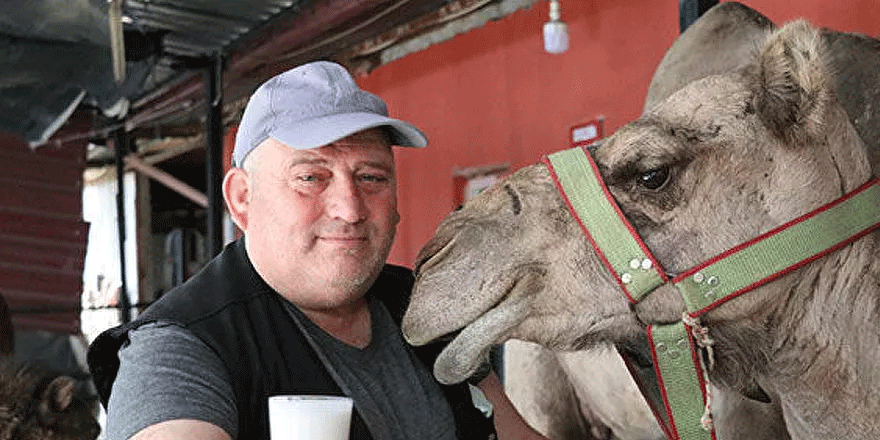 Koronavirüs döneminde deve sütüne talep arttı: Litresi 100 lira