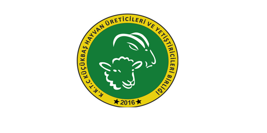 Araçlarla gelecekler!