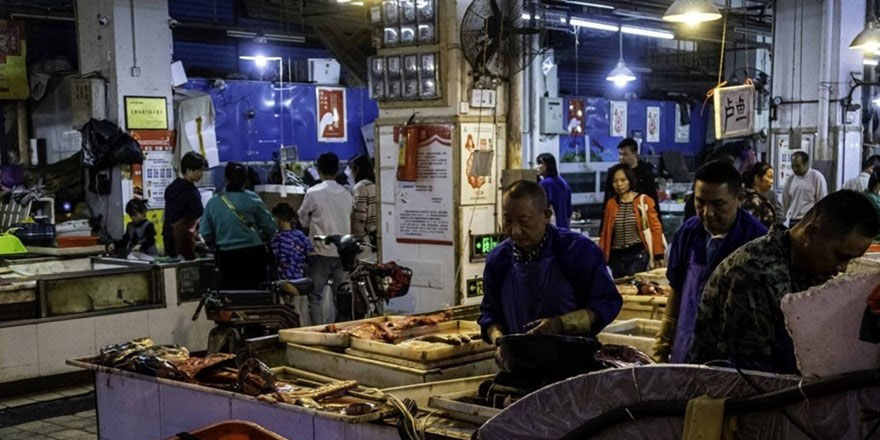 Yeni corona virüs salgını uyarısı